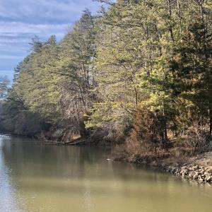 Lot 247 Water