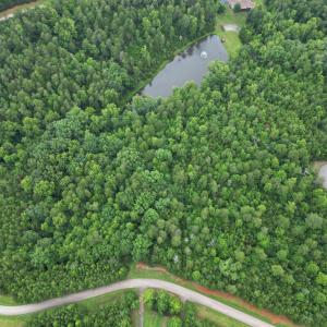 dji_fly_20250623_121524_256_175278505327