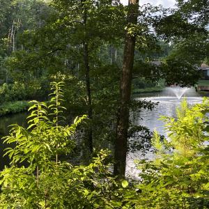 Pond-front Lot 359 Clear Pointe Run