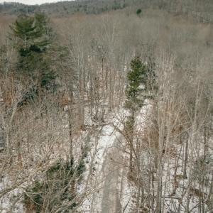 Gobble pic 9