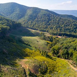 IMG-3494-2