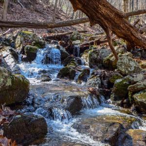 10-0 Hidden Woods-10