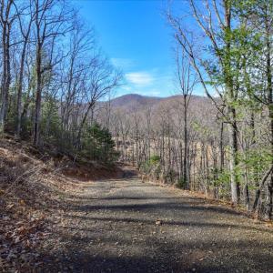 01-0 Hidden Woods-1