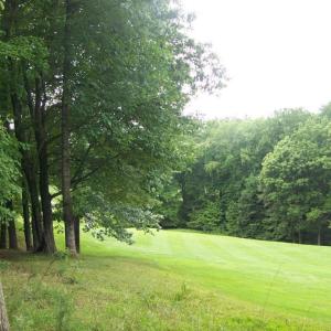 2nd fairway