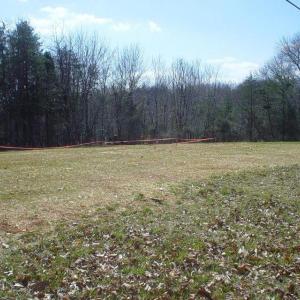 Lot 2