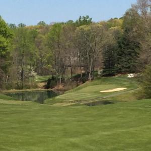 #17 Green from #9