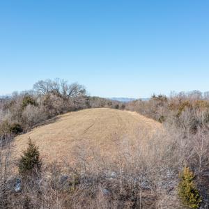 DJI_0982
