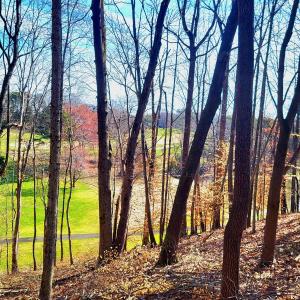 Golf course views