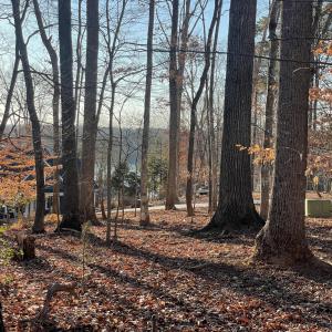 Lake View 1