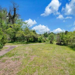 Photo #8 of 6547 SPERRYVILLE PIKE, BOSTON, VA 9.5 acres