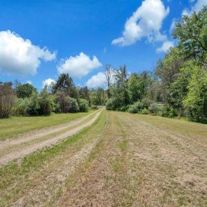 Photo #15 of 6547 SPERRYVILLE PIKE, BOSTON, VA 9.5 acres