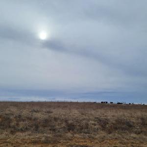 Country Meadow Lot 143