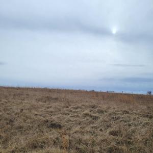 Country Meadow Lot 141