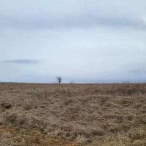 Country Meadow Lot 139