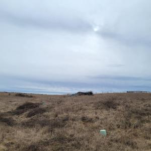 Country Meadow Lot 137