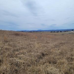 Country Meadow Lot 135