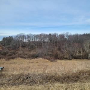Country Meadow Lot 125 2