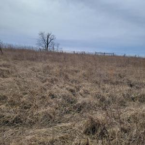 Country Meadow Lot 133 2
