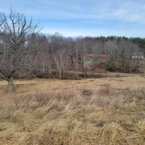 Country Meadow 123