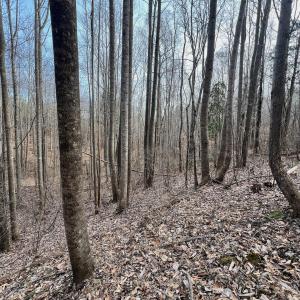 Smith Mtn 20 - 47