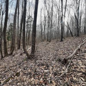 Smith Mtn 20 - 46
