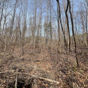 Smith Mtn 20 - 43