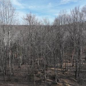 Smith Mtn 20 - 34
