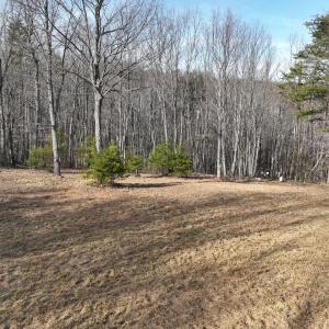 Smith Mtn 20 - 29