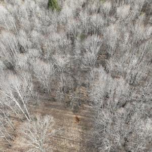 Smith Mtn 20 - 16