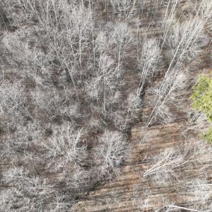 Smith Mtn 20 - 11