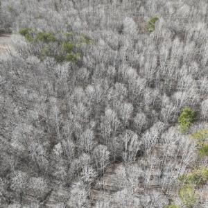 Smith Mtn 20 - 10