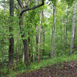 Build Your Dream Home!