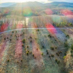 20210104215811304847000000-o