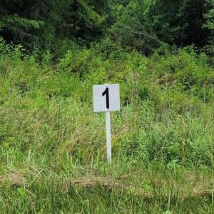 20210629164730879744000000-o