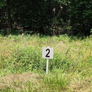 Lot 2