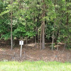 Lot 7 Dillards Hill Rd