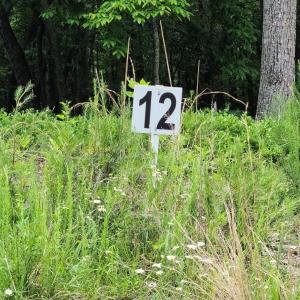 Lot 12 Belle Isle Dr