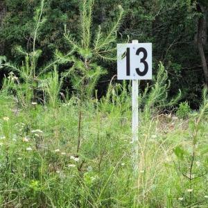 Lot 13 Belle Isle Dr