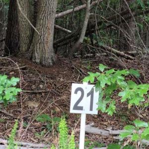 20210629192343520713000000-o