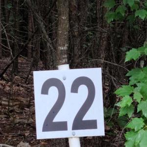 20210629193110552447000000-o