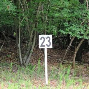 20210629194053381694000000-o