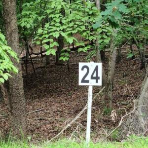 20210629195029831013000000-o