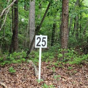 20210629200050961107000000-o