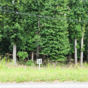 Lot 34 Dillards Hill Rd