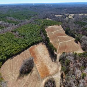 05-DJI_20250214124130_0129_D