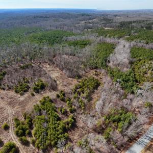 18-DJI_20250214125827_0160_D(1)