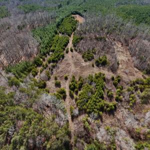 19-DJI_20250214125827_0160_D