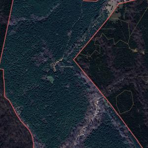 25-Screenshot 2025-02-15 075811