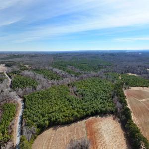 04-DJI_20250214124130_0129_D(1)