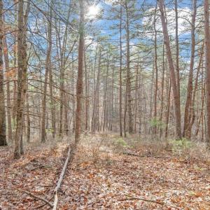 44-MIB06422
